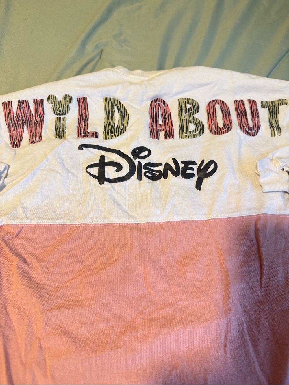 Disney Spirit Jersey - animal kingdom special edition - Picture 3 of 6